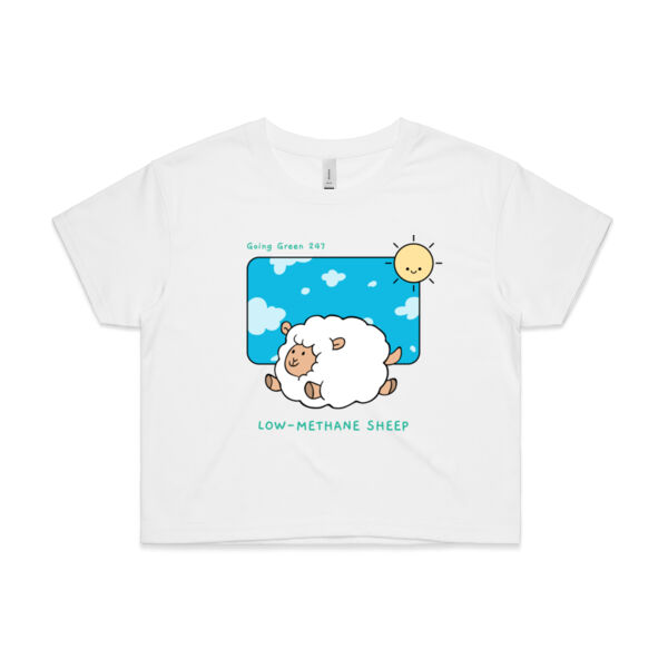 Low Methane Sheep - Woman Thumbnail